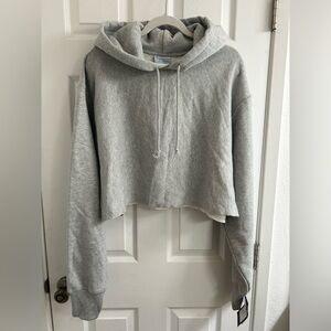 Champion Reverse Weave Cropped Hoodie Size XL